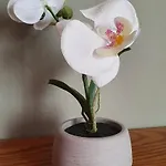 度假居 Mont Claire - Casa Di Charme Vista Grigna